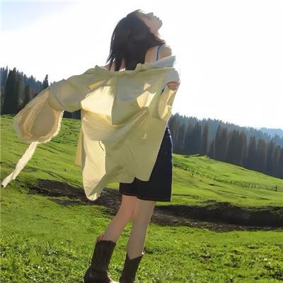 新碧血剑
